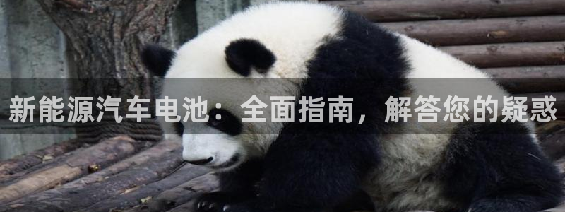 优发国际手机版下载官网