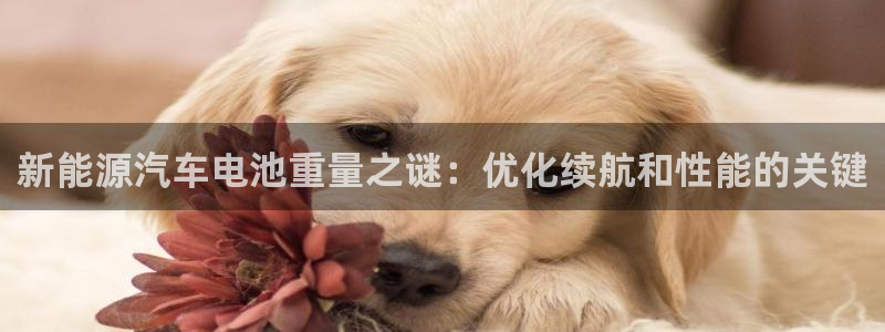 优发国际合并到哪里了最新消息