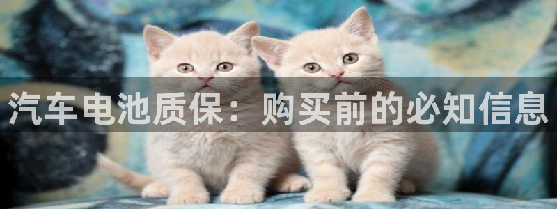 优发国际手机客户端下载不了