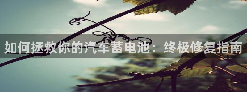 优发国际手机版客户端官网