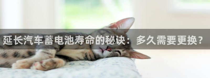 优发国际官方网手机版下载安装：延长汽车蓄电池寿命的秘诀：多久需要更换？