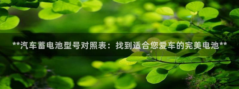 优发国际平台u8是什么公司