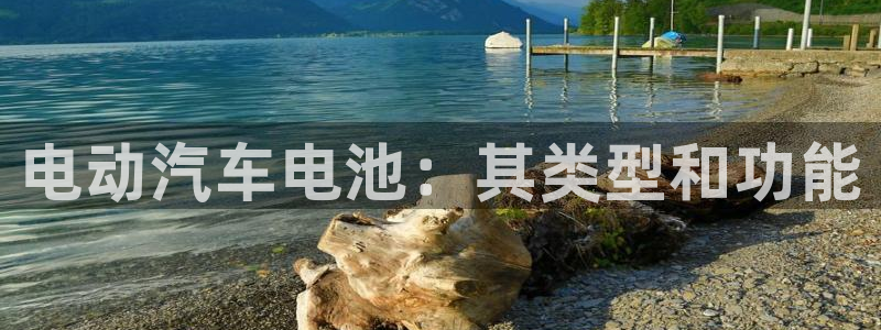 优发国际安卓版下载安装：电动汽车电池：其类型和功能