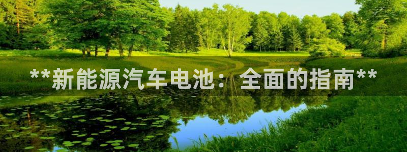 优发国际平台g8：**新能源汽车电池：全面的指南**