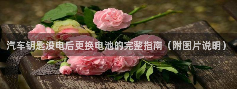 优发国际官网手机号：汽车钥匙没电后更换电池的完整指南（附图片说明）
