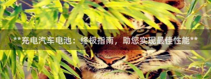 优发国际-触即发：**充电汽车电池：终极指南，助您实现最佳性能**