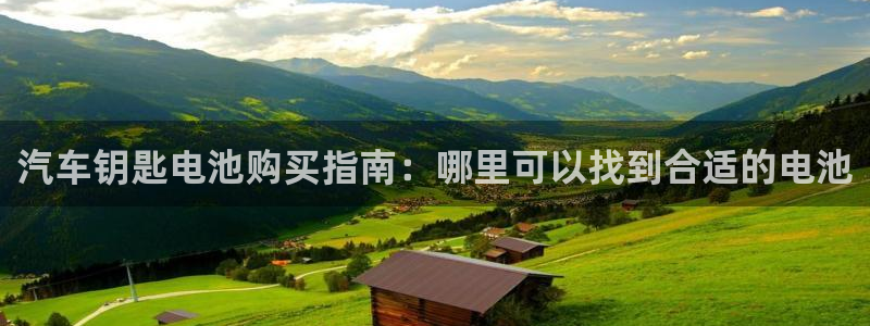 优发国际网官网17w80是什么：汽车钥匙电池购买指南：哪里可以找到合适的电池