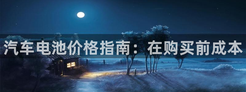 优发国际平台网站：汽车电池价格指南：在购买前成本