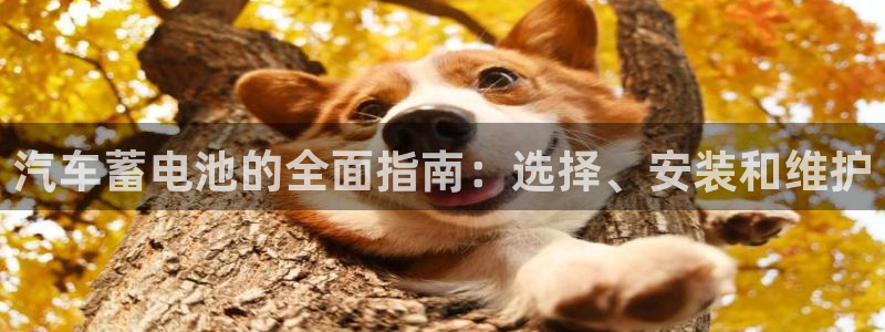 优发国际手机客户端下载安装：汽车蓄电池的全面指南：选择、安装和维护