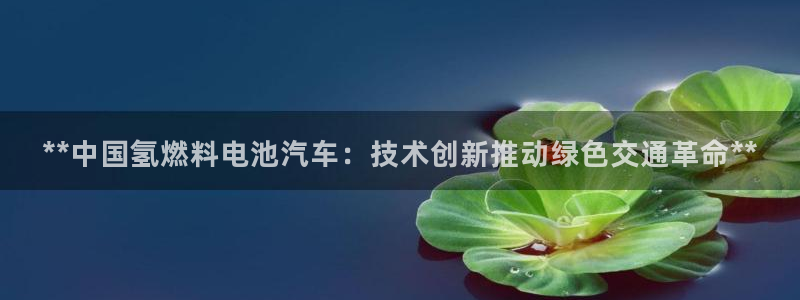 优发国际平台u8是什么公司：**中国氢燃料电池汽车：技术创新推动绿色交通革命**