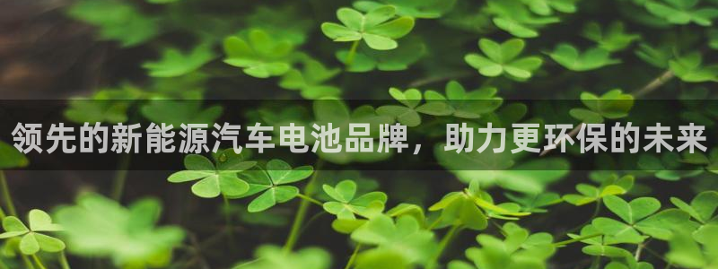 优发国际手机app下载安装最新版：领先的新能源汽车电池品牌，助力更环保的未来