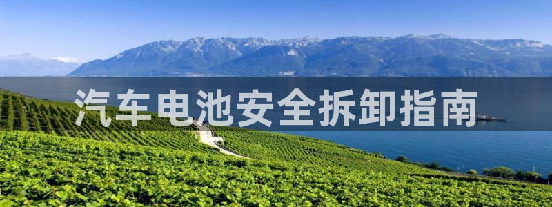 优发国际是合法的吗：汽车电池安全拆卸指南