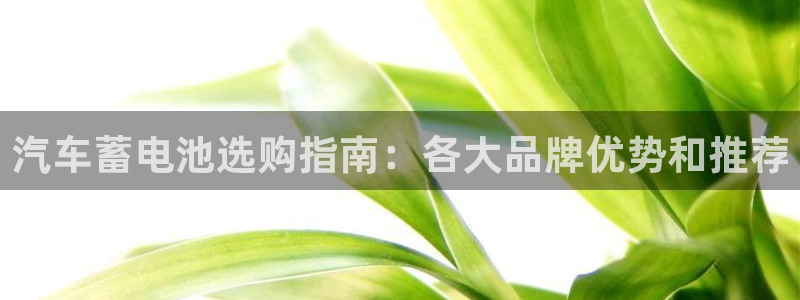 优发国际线上娱官网：汽车蓄电池选购指南：各大品牌优势和推荐