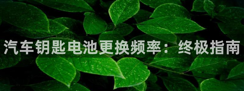 优发国际客服联系方式查询