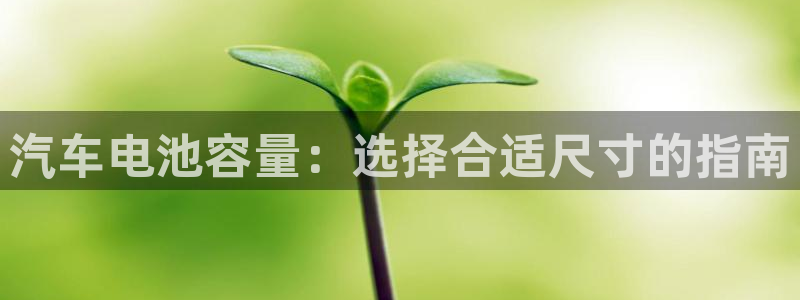 优发国际手机版客户端：汽车电池容量：选择合适尺寸的指南