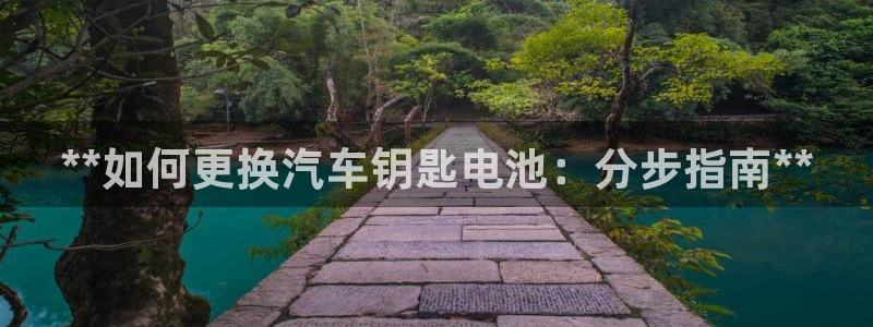 优发国际下载安装app：**如何更换汽车钥匙电池：分步指南**
