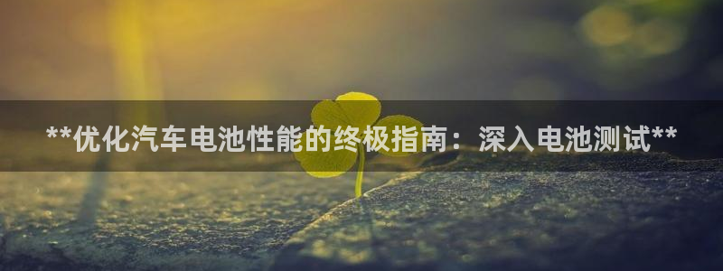 优发国际官方网手机版下载安卓：**优化汽车电池性能的终极指南：深入电池测试**