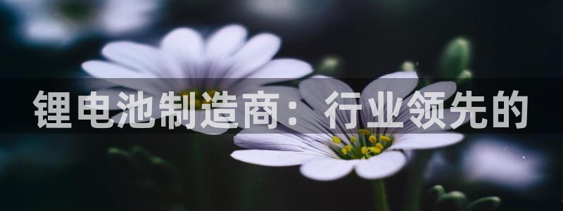 优发国际登陆