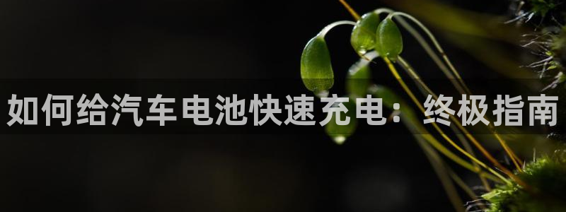 优发国际游戏官方网站：如何给汽车电池快速充电：终极指南