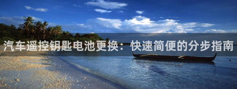 优发国际集团股份有限公司：汽车遥控钥匙电池更换：快速简便的分步指南