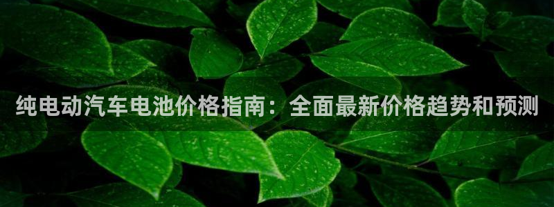优发国际是大平台吗还是小平：纯电动汽车电池价格指南：全面最新价格趋势和预测
