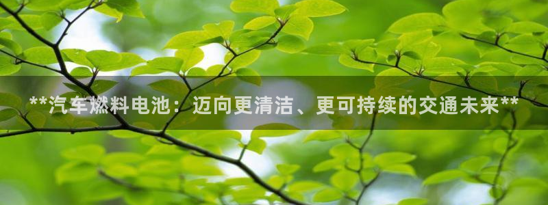 优发娱乐pc版官网：**汽车燃料电池：迈向更清洁、更可持续的交通未来**