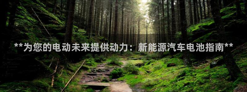 优发国际app登录：**为您的电动未来提供动力：新能源汽车电池指南**