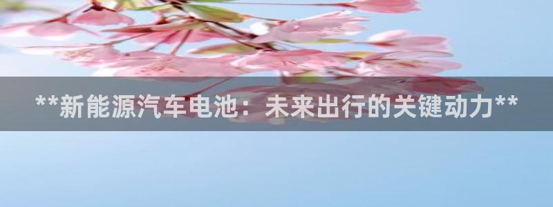 优发国际集团股份有限公司官网：**新能源汽车电池：未来出行的关键动力**