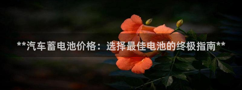 优发国际官网下载苹果版：**汽车蓄电池价格：选择最佳电池的终极指南**