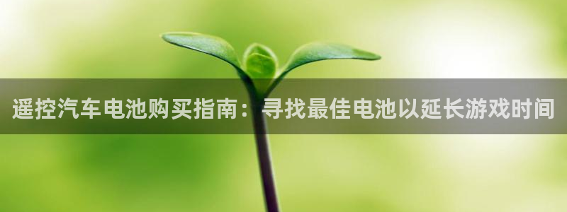 优发国际手机登录下载安装苹果：遥控汽车电池购买指南：寻找最佳电池以延长游戏时间