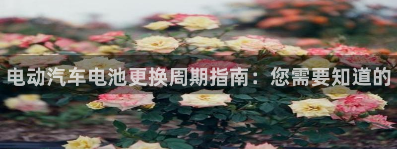 优发国际这个平台怎么样啊：电动汽车电池更换周期指南：您需要知道的