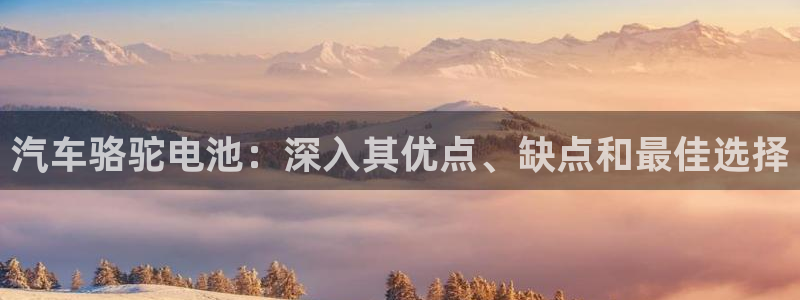 优发国际登录168：汽车骆驼电池：深入其优点、缺点和最佳选择