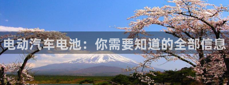 优发国际youfa966：电动汽车电池：你需要知道的全部信息