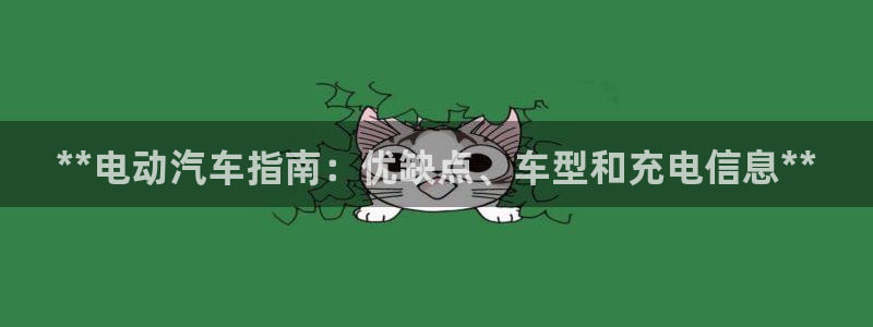 优发国际网官网17o8：**电动汽车指南：优缺点、车型和充电信息**