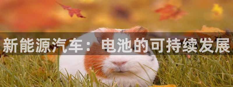 优发国际游戏17