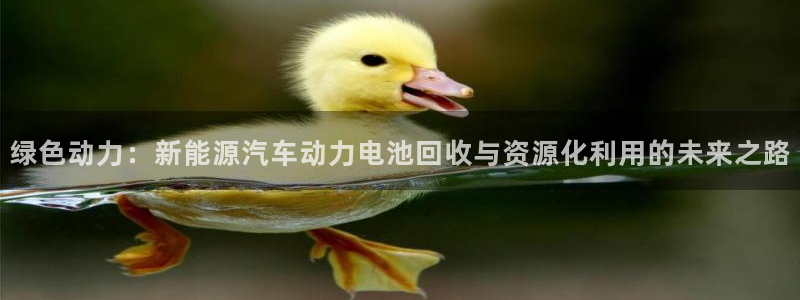 优发国际登录168：绿色动力：新能源汽车动力电池回收与资源化利用的未来之路