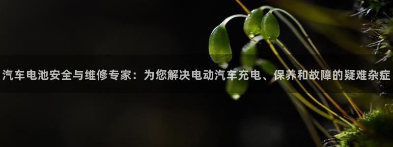优发国际一首页：汽车电池安全与维修专家：为您解决电动汽车充电、保养和故障的疑难杂症