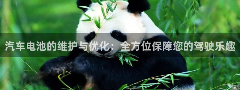 优发国际网页：汽车电池的维护与优化：全方位保障您的驾驶乐趣