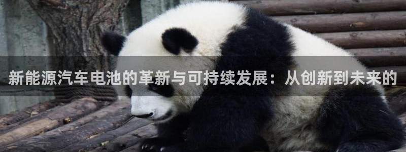 优发国际官网首页入口：新能源汽车电池的革新与可持续发展：从创新到未来的