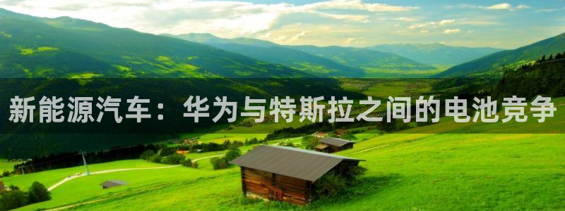 优发国际注册平台怎么样：新能源汽车：华为与特斯拉之间的电池竞争