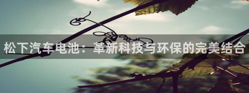 优发国际官网首页：松下汽车电池：革新科技与环保的完美结合