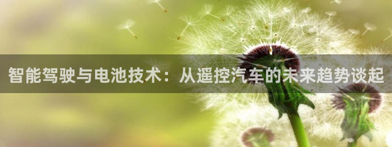 优发国际手机登录下载安装官网：智能驾驶与电池技术：从遥控汽车的未来趋势谈起