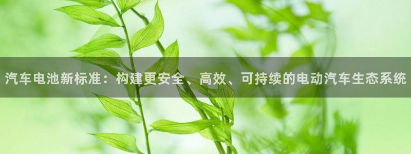 优发国际官方网平台登录：汽车电池新标准：构建更安全、高效、可持续的电动汽车生态系统
