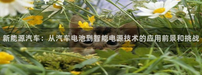 优发国际官网网站首页：新能源汽车：从汽车电池到智能电源技术的应用前景和挑战