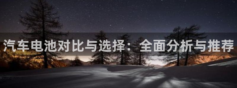 优发国际网官网址是多少：汽车电池对比与选择：全面分析与推荐