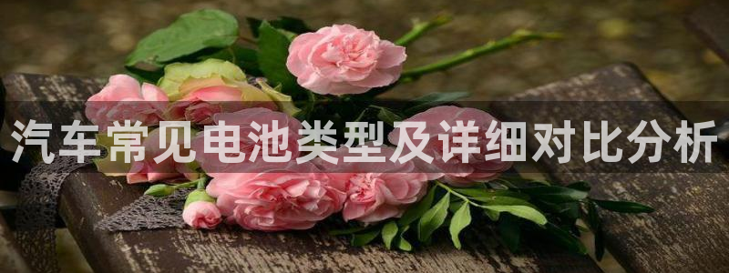 优发国际集团股份有限公司：汽车常见电池类型及详细对比分析