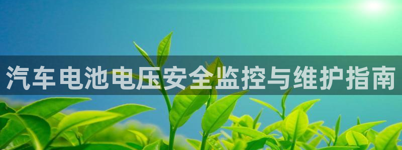 优发国际手机app下载安装官网：汽车电池电压安全监控与维护指南
