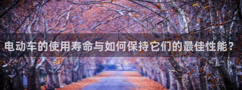 优发国际这个平台怎么样知乎