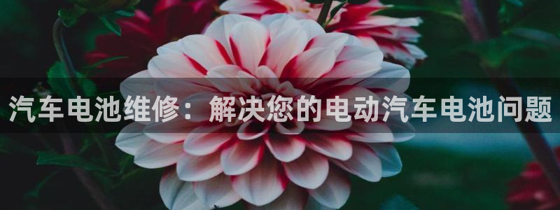 优发国际平台手机版下载：汽车电池维修：解决您的电动汽车电池问题