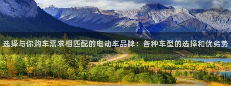 优发国际下载安装app：选择与你购车需求相匹配的电动车品牌：各种车型的选择和优劣势